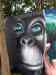 HPIM3857m.jpg - 2010:07:04 17:58:11