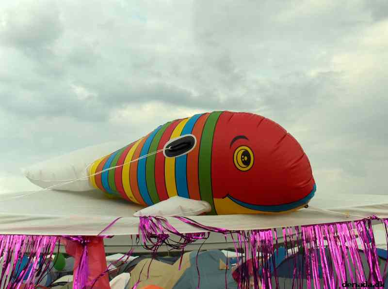 * Image 30