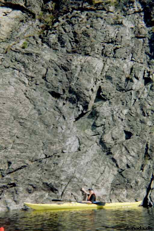 * Image 4