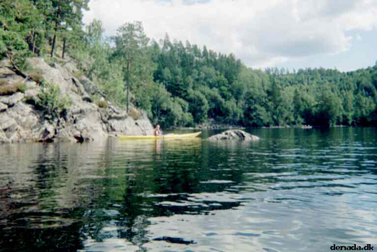 * Image 3