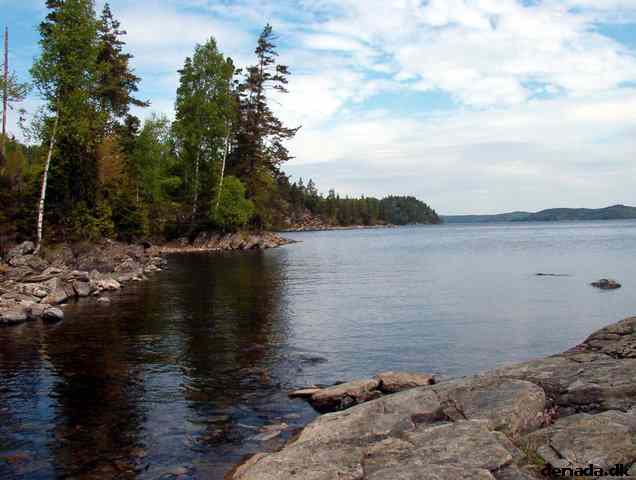 * Image 38