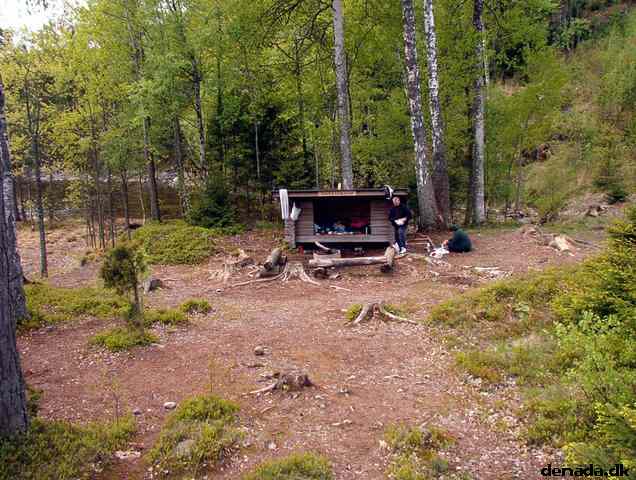 * Image 35