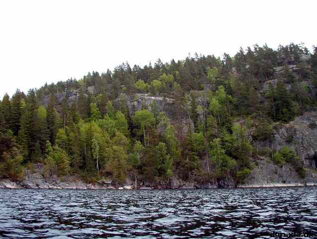 * Image 65
