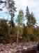 0041.jpg - 2002:01:01 14:01:14