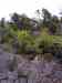 0071.jpg - 2002:01:01 01:24:53