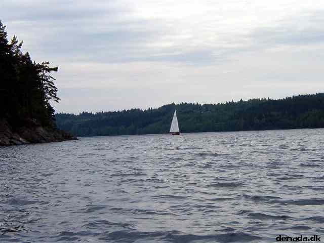 * Image 77