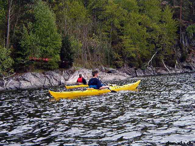 * Image 78