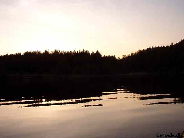 * Image 22