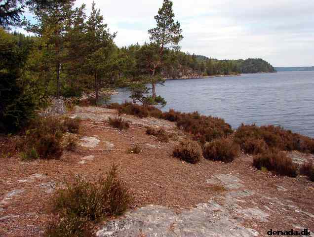 * Image 31