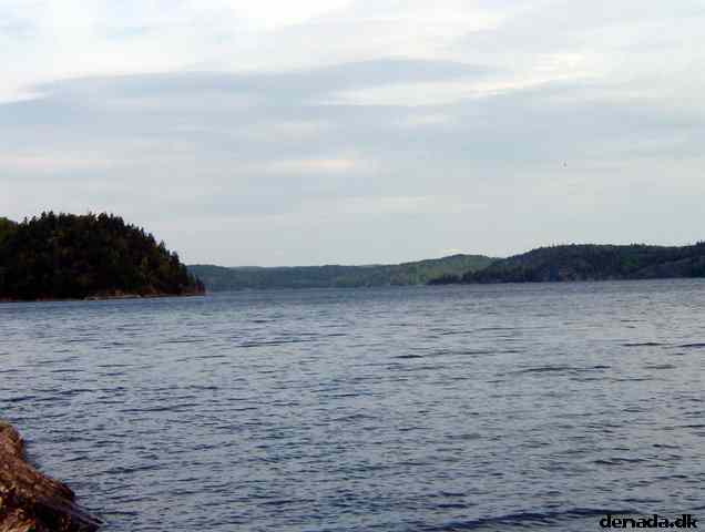 * Image 45