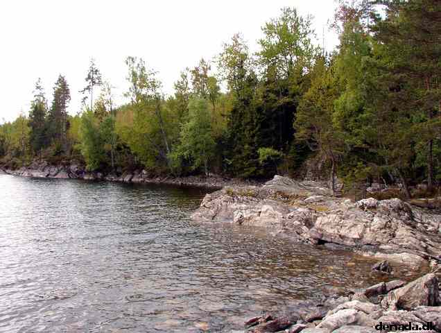 * Image 46