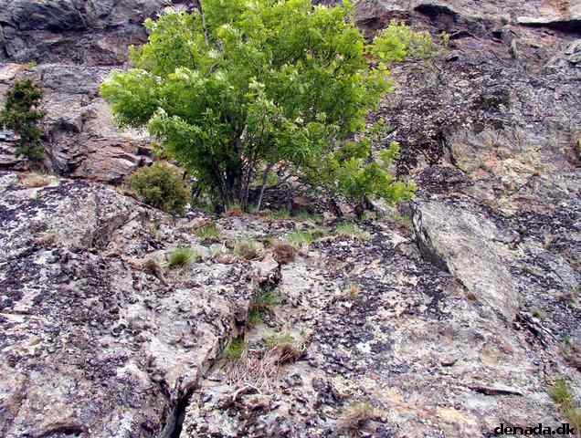 * Image 75