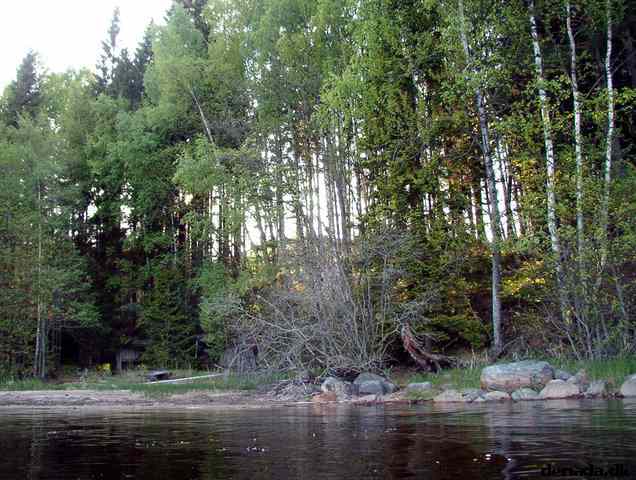 * Image 9
