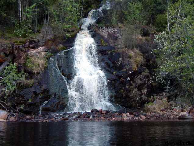 * Image 16