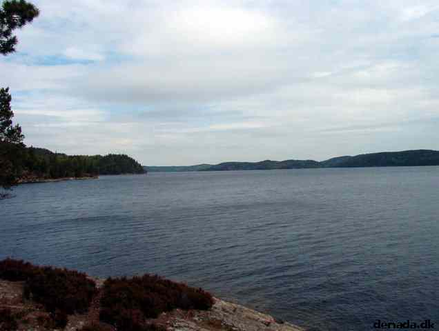 * Image 30