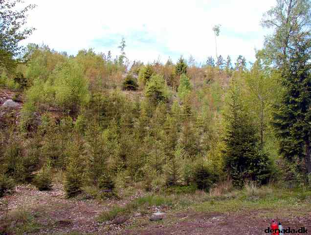 * Image 49