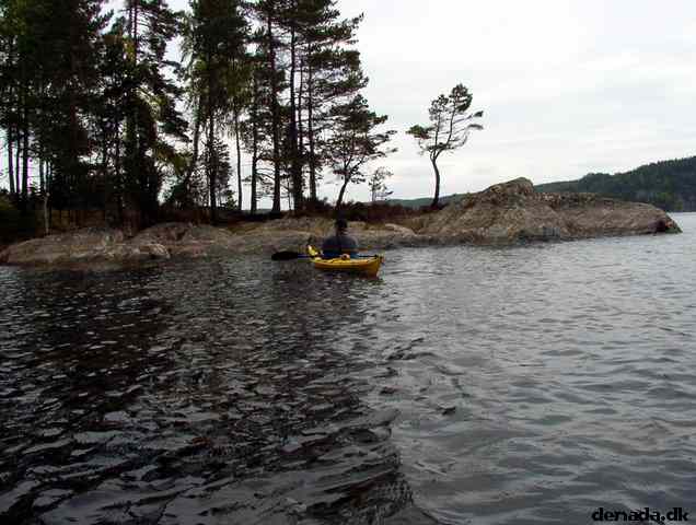 * Image 64