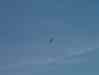 0023.jpg - 2002:01:06 01:22:50