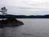 0044.jpg - 2002:01:01 14:04:55