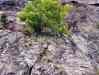 0075.jpg - 2002:01:01 01:27:00