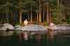 imm007.jpg - 