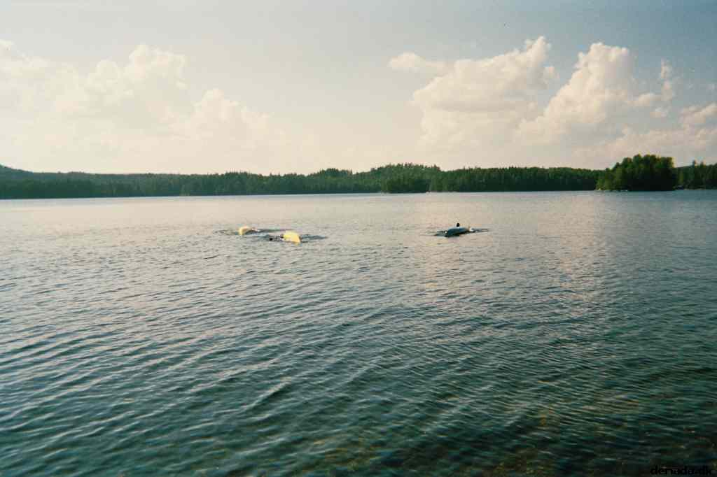 * Image 4