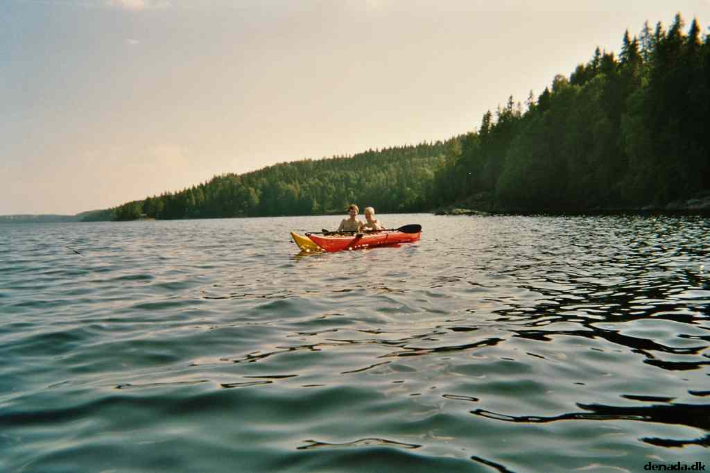 * Image 19