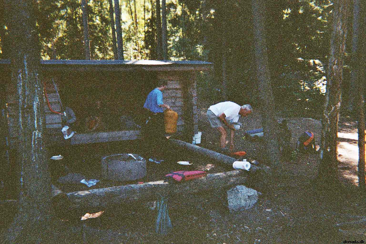 * Image 13