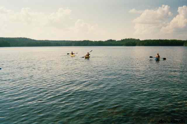 * Image 3