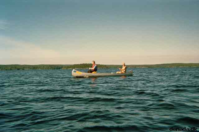 * Image 14