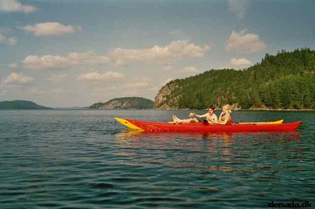 * Image 22