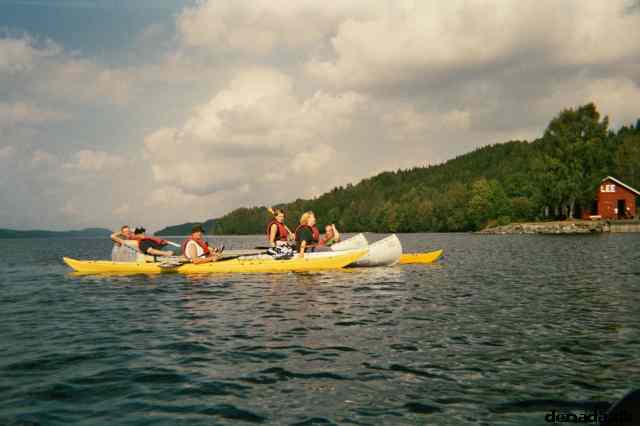 * Image 25