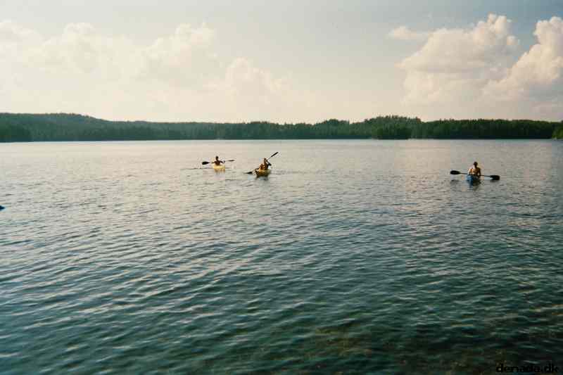 * Image 3