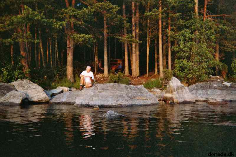 * Image 8