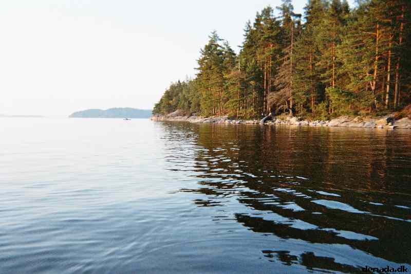 * Image 9
