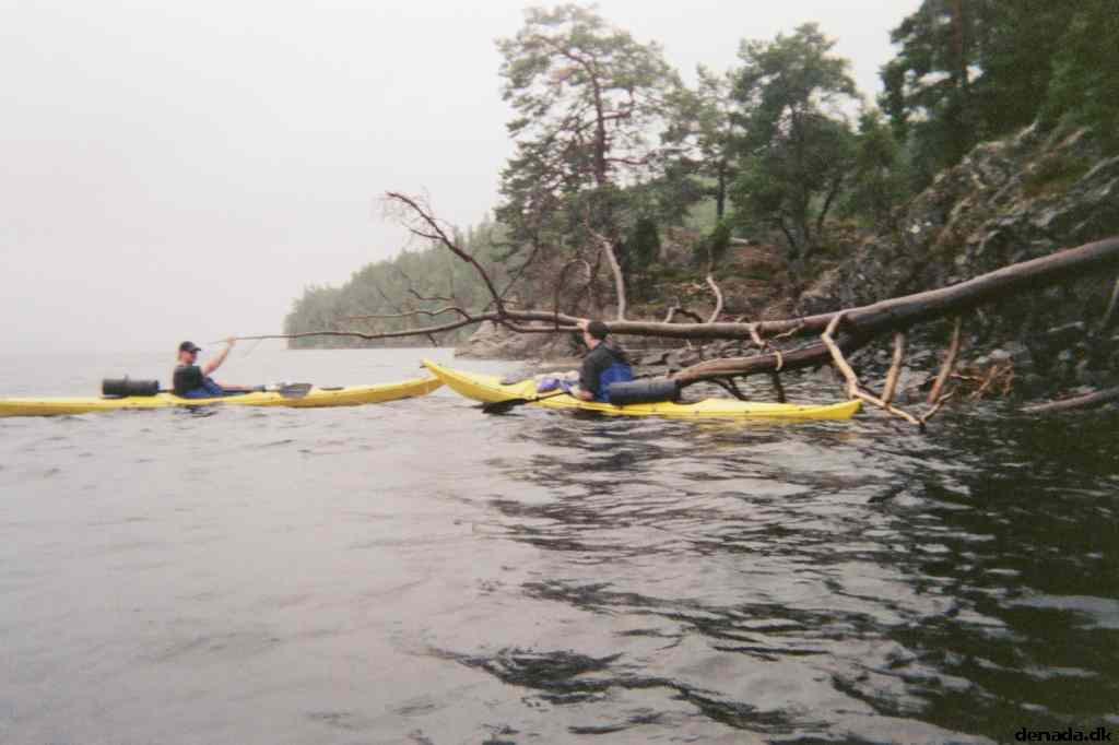 * Image 6