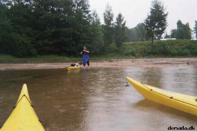 * Image 4