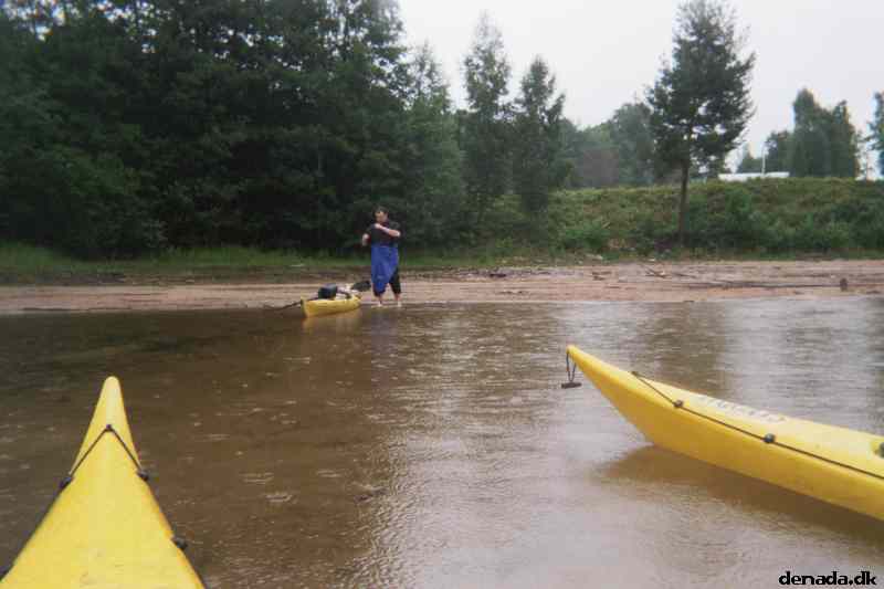 * Image 4