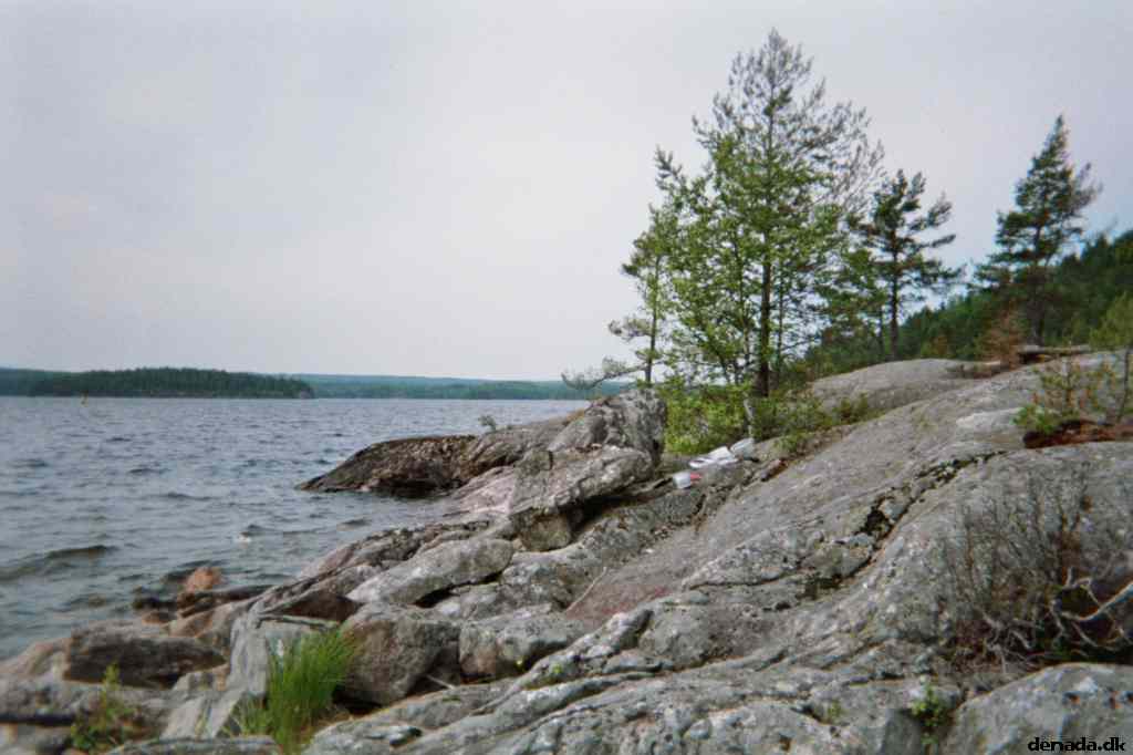 * Image 7
