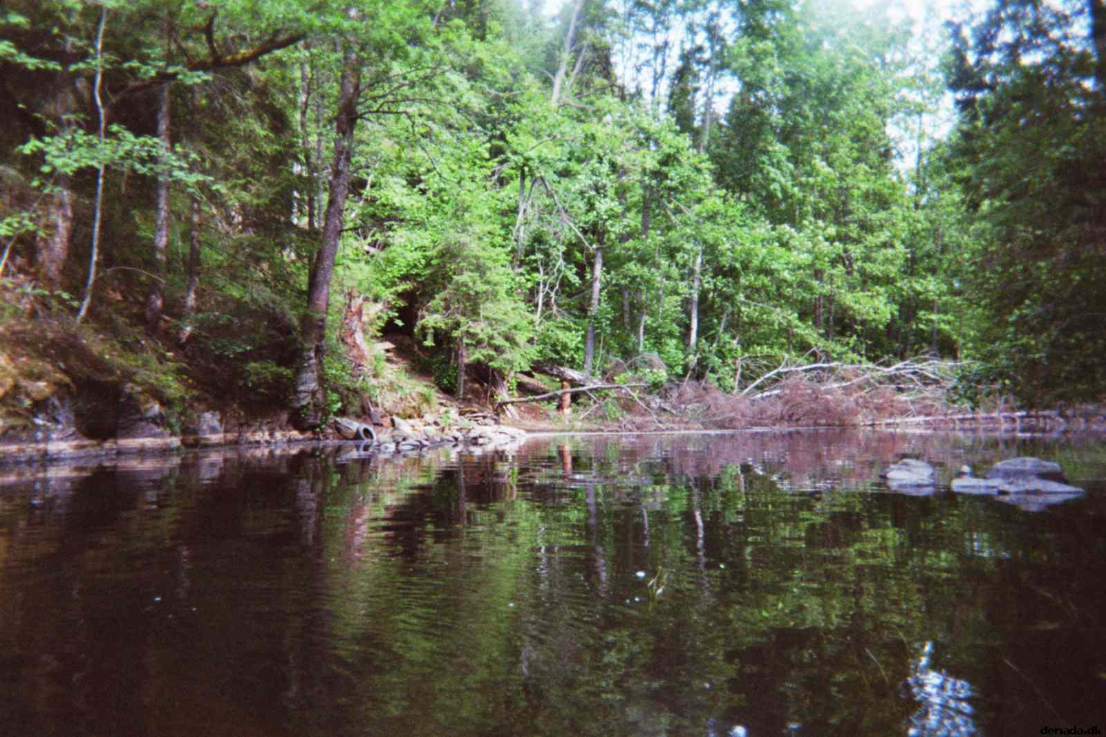 * Image 6