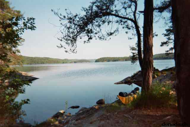 * Image 10
