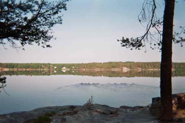 * Image 18