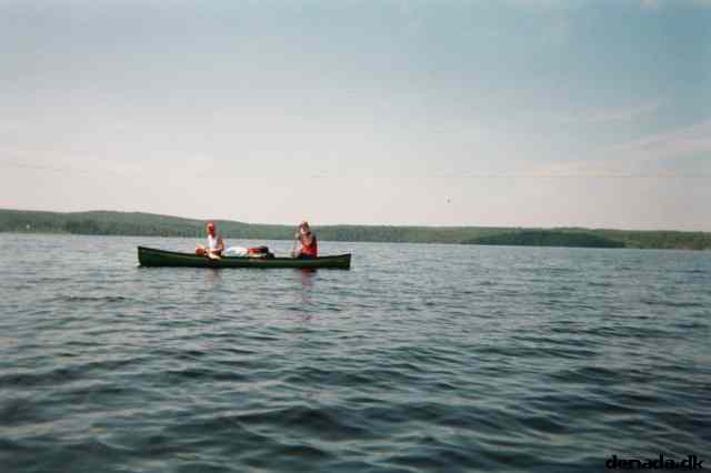 * Image 21