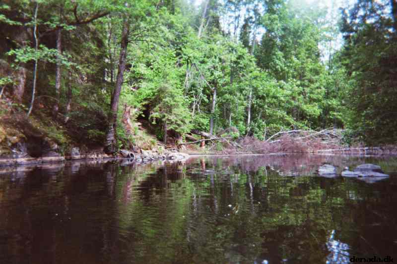 * Image 6