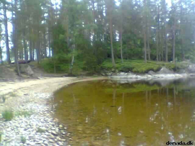 * Image 3