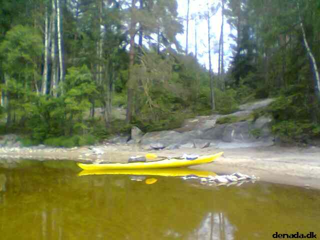 * Image 5
