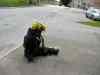 SANY0866.JPG - 2008:08:09 14:11:07