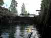 SANY0920.JPG - 2008:08:13 15:21:16