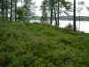 SANY0933.JPG - 2008:08:13 18:06:38