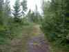 SANY0968.JPG - 2008:08:14 19:04:04